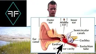 Diving Equalization Techniques