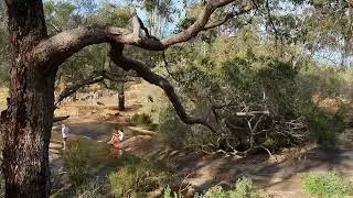 JOHN FORREST LAKE