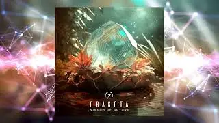 Dragota - Writing the Dream