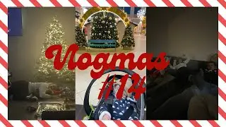 VRHLA JSEM SE DO PEČENÍ CUKROVÍ | VLOGMAS #14