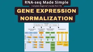 Normalize RNA-seq Gene Expression: TPM, FPKM, CPM, Z-scores