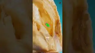 How Artificial Pearls Are Created Inside Oysters... 🤯 #shorts #viral #pearl  #facts