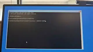 How to fix the Crowdstrike / Windows disaster on Windows 11
