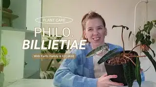 Philodendron Billietiae Plant Care | Tips to caring for your Philodendron Billietiae