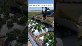 🪲 Bug Vacuum: One way to handle pest control #AgTech