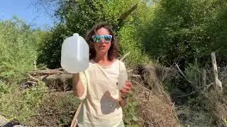 Field and trip blanks