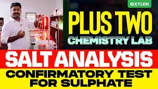 Plus Two Chemistry Lab | Salt Analysis - Confirmatory Test&nbsp;For&nbsp;Sulphate | Xylem Plus Two