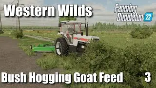 Корм для коз Bush Hogging | Western Wilds #3 | FS22