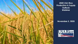 UK & EU: 2020/2021 U.S. Rice Production & Supply Outlook