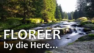 Floreer by die Here  |  Uit die Woord - Digitaal