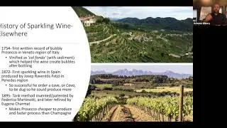 All Things Avennia: Sparkling Wine