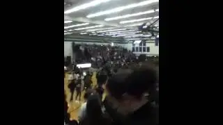 Webster Schroeder Fans storm court