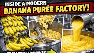 Inside a Modern Banana Purée Factory From Fresh Bananas to Thick Yellow Purée