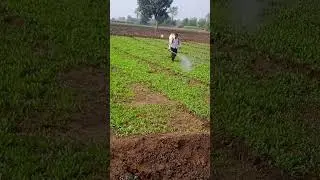 #farming #mini #shortblock#@manishkushwah_d6p