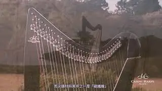 Making a Camac Harp/製作CAMAC豎琴