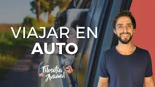 Mi perro tiene MIEDO a VIAJAR EN AUTO
