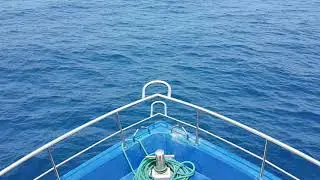 Mirissa Whale watching - Raja and the Whales - 4K video