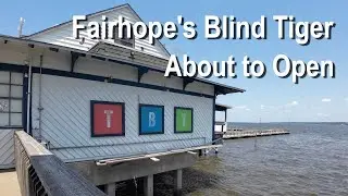 Fairhope's Blind Tiger About to Roar to Life