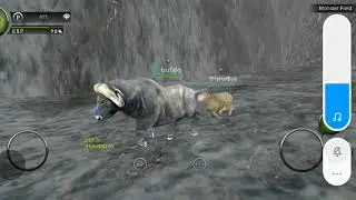 Wild animals online game - Mihajlo