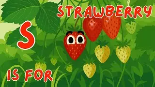 S is for Strawberry 🍓 | ABC Fruit Songs | Flat design vector art