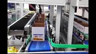 Automatic Packaging Line | Food Production Automation | MM Robotics