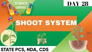 Science Series ||  Biology || Shoot System || Day-28