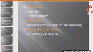 Types of Specimens in Clinical Laboratory