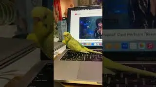 IMG 1559