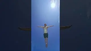 Unique Underwater Dive POV 🎬 Thomas Hubener #Shorts #Dive