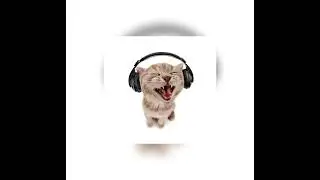 Немеренно-(Speed up)
