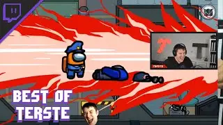 TERSTE Streamhighlights AMONG US🎥🔥 Streamhighlights #5