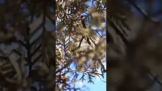 Que bella es la naturaleza!!