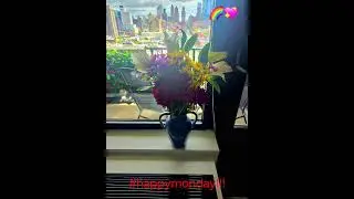 #actor #lifestyle #lgbt #gay #nyc #sun #foryoupage #gay #shorts #reels #fyp #monday #flowers #vibes