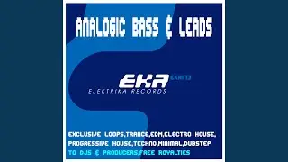 Analogic Bass & Leads Trance4 128 (Tool 4)