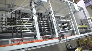 SV264 Continuous Motion Inline Automatic wrapping trays of mustard