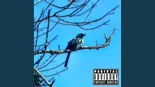 Can't find my head (Demo)