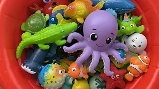 Learn Sea Animal Names: Shark 🦈 Lobster 🦞 Crocodile 🐊 | Sea Animal Toys for Toddlers | Kids Learn 