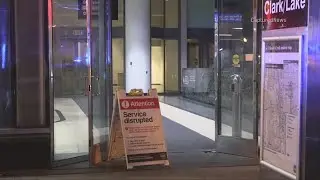 Woman set on fire during argument on Blue Line train overnight