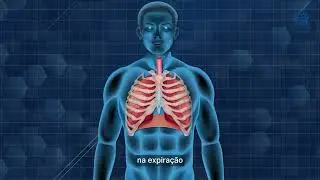 Em Busca de Sa&uacute;de - N&uacute;cleo de Otorrinolaringologia do S&iacute;rio-Liban&ecirc;s