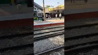 Dog 🐕 #trying to #jump #shortvideo 🐶😛🤩  #animals #mobile #virals #shorts #ytshorts #youtubeshorts