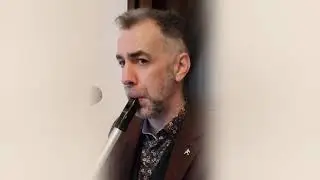 In Dreams (from Lord of the Rings) on Low Whistle by Barry Hughes Wedding Singer &Eacute;ire 