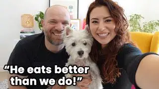 Driving With Our Dog For 36 Hours? | The Westie Parent Podcast: Episode 4
