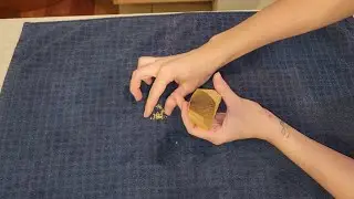 I'm most excited about these seeds | TRUE Potato Seeds and how to save them