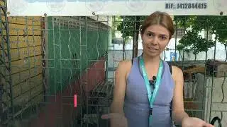 Reportaje, Problem&aacute;tica de perros callejeros su adopci&oacute;n y aceptaci&oacute;n en la sociedad.