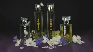 NEW PERFUMES 2021