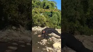 hard training of NSG commando hand practice #indianarmy #nsgcommando #shorts #viral