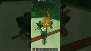 Wither Necromancer vs Mutant Jungle Zombie