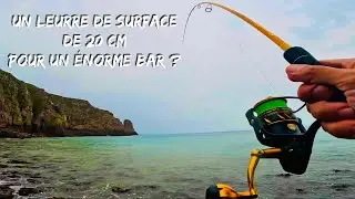 Un GROS LEURRE de SURFACE de 20 CM pour un &Eacute;NORME BAR ??