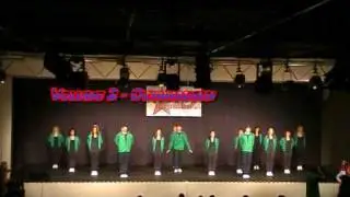 V2 Hiphop (Hiphop Contest M&uuml;nster 2010 - Volume 2)