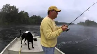Lilley's Lake Taneycomo fishing report, May 28, 2015